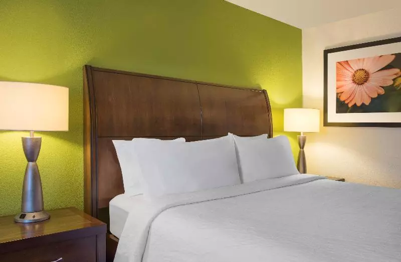 キングサイズベッドのスタンダードルーム, Hilton Garden Inn Denver South Park Meadows Area