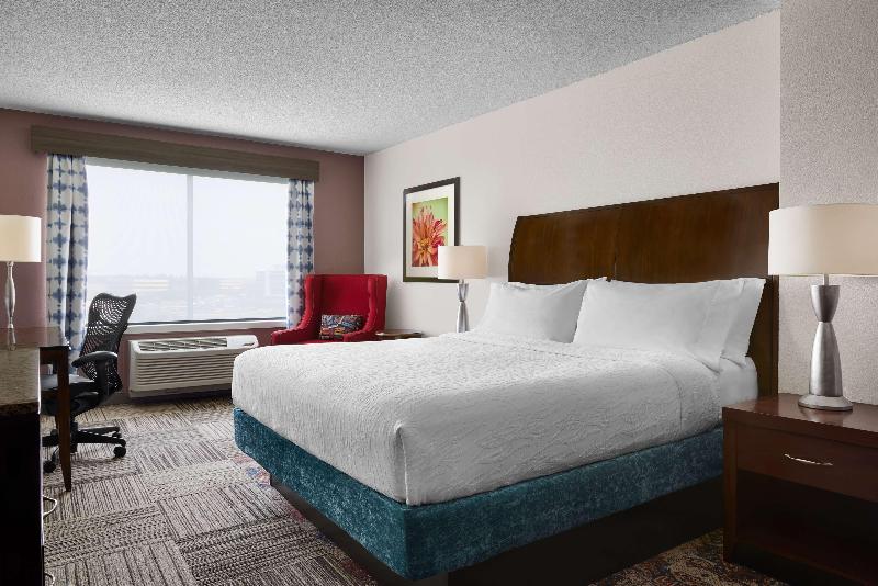Büyük Çift Kişilik Yataklı Standart Oda, Hilton Garden Inn Denver South Park Meadows Area
