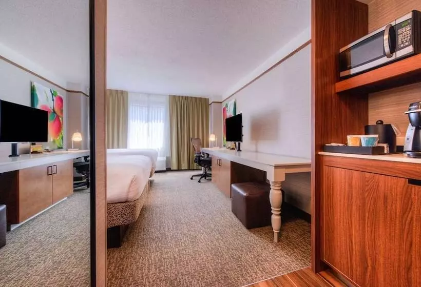 ２ダブルベッドのスタンダードルーム, Hilton Garden Inn Detroit   Southfield, Mi