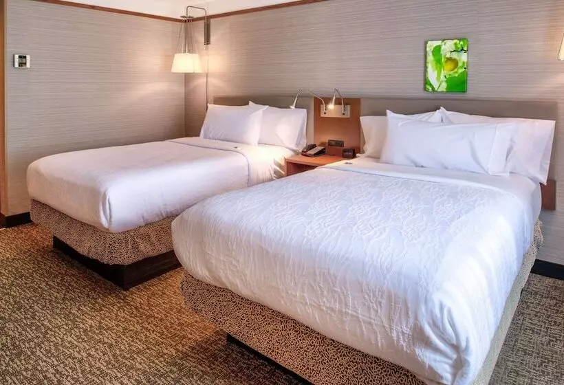 ２ダブルベッドのスタンダードルーム, Hilton Garden Inn Detroit   Southfield, Mi