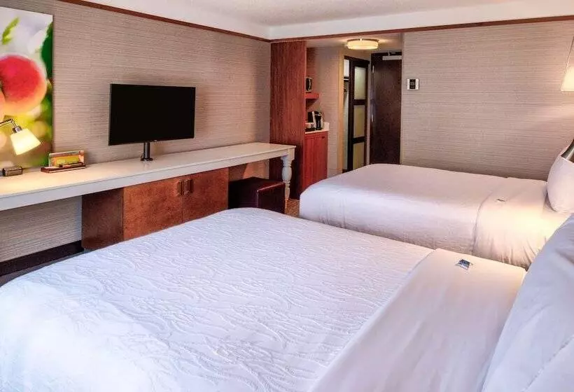 ２ダブルベッドのスタンダードルーム, Hilton Garden Inn Detroit   Southfield, Mi
