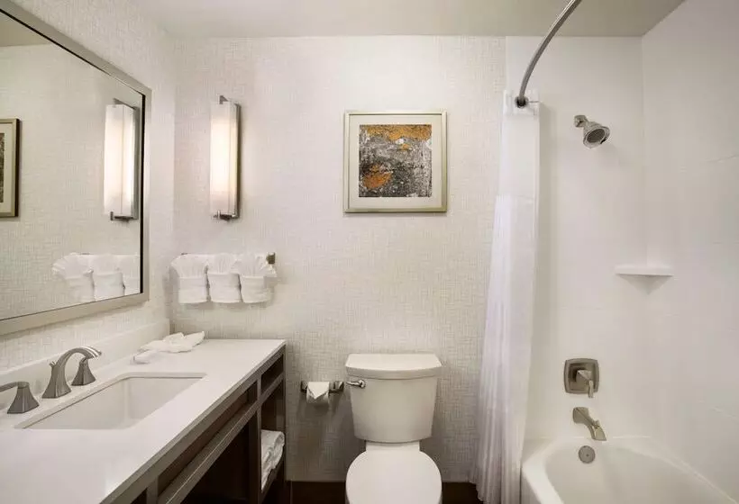 ２ダブルベッドのスタンダードルーム, Hilton Garden Inn Flagstaff