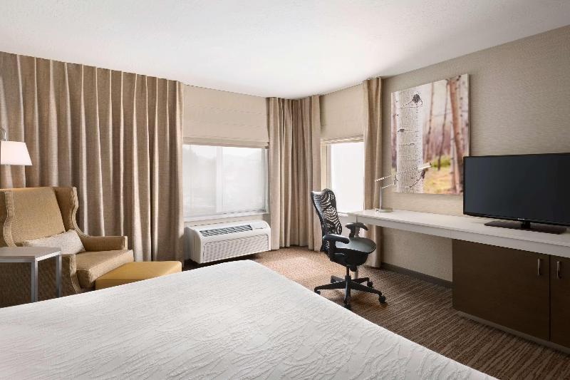 اتاق استاندارد با تخت بزرگ, Hilton Garden Inn Flagstaff