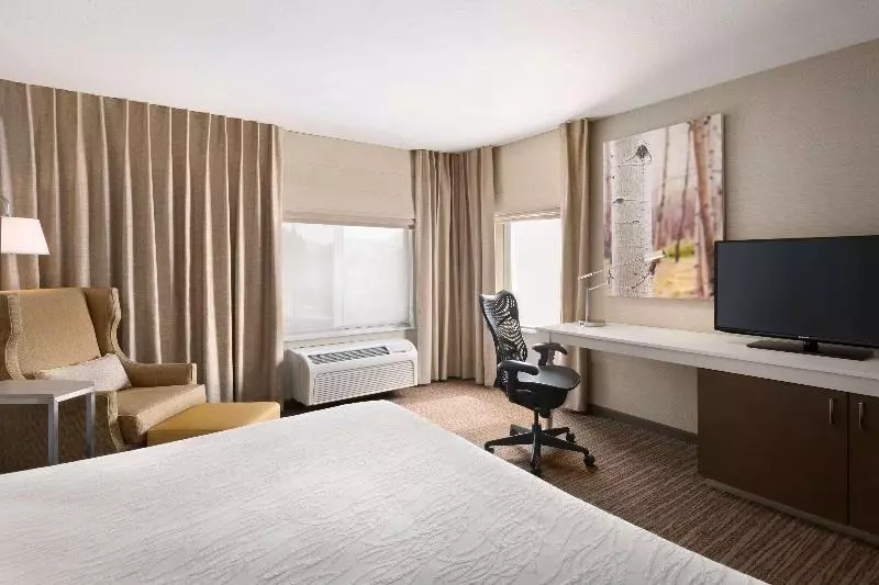 キングサイズベッドのスタンダードルーム, Hilton Garden Inn Flagstaff