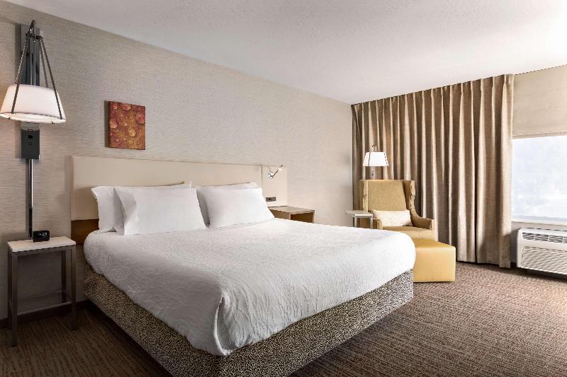 اتاق استاندارد با تخت بزرگ, Hilton Garden Inn Flagstaff
