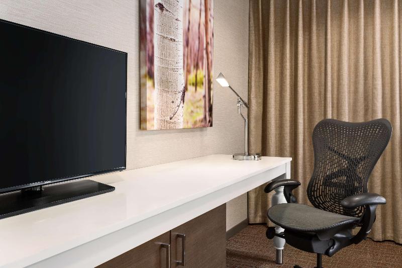 اتاق استاندارد با تخت بزرگ, Hilton Garden Inn Flagstaff