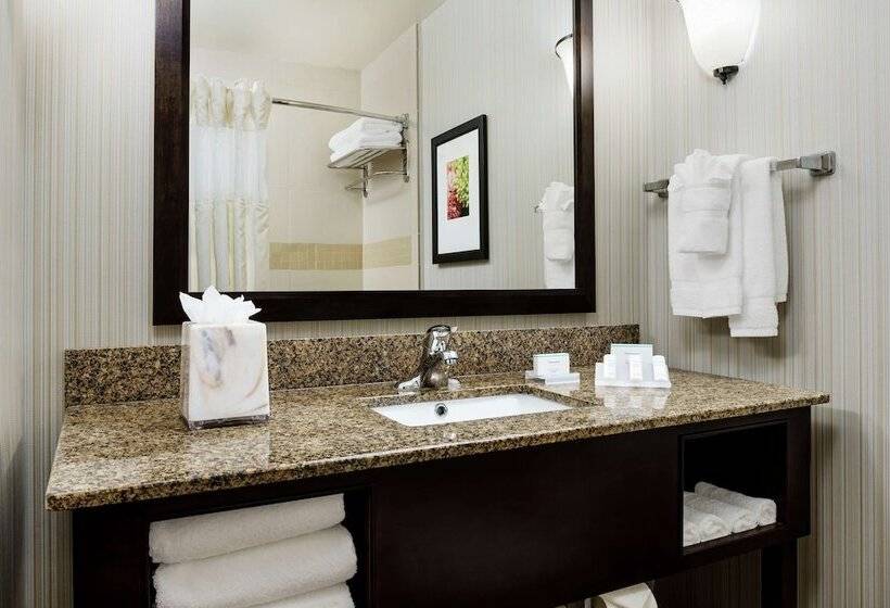 غرفة ديلوكس, Hilton Garden Inn Lake Mary
