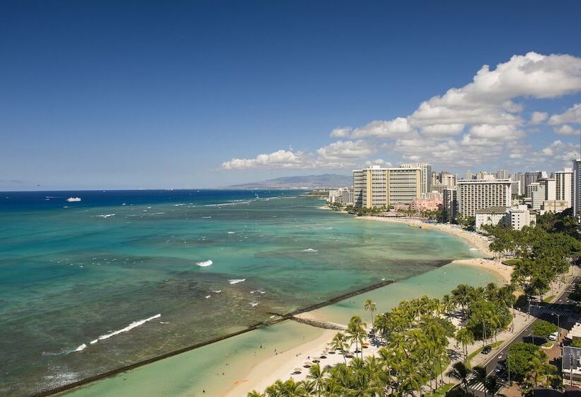 Люкс 3 Спальни, The Twin Fin