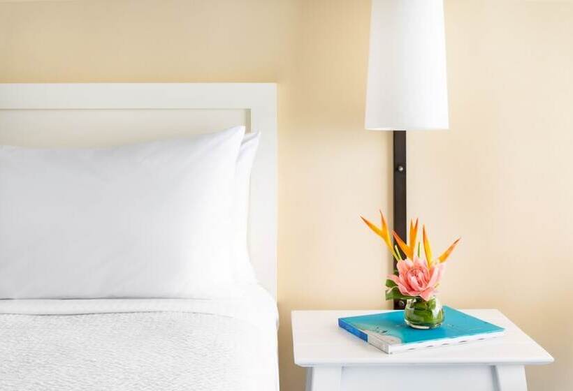 חדר סטנדרט, מיטה זוגית, מותאם לאדם עם מוגבלויות, The Twin Fin