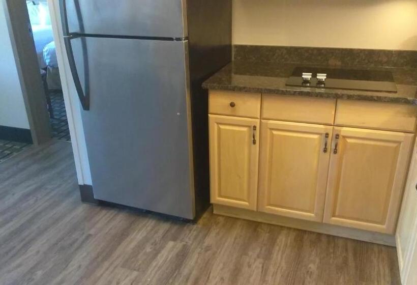 جناح سرير كينج, Hawthorn Extended Stay By Wyndham Conyers