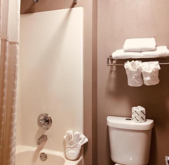 장애인을 위한 스탠다드 룸, Hawthorn Extended Stay By Wyndham Conyers