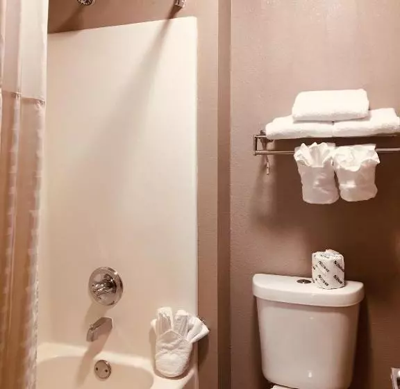 身障者適用スタンダードルーム, Hawthorn Extended Stay By Wyndham Conyers