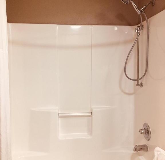 غرفة قياسية لذوى الاحتياجات الخاصة, Hawthorn Extended Stay By Wyndham Conyers