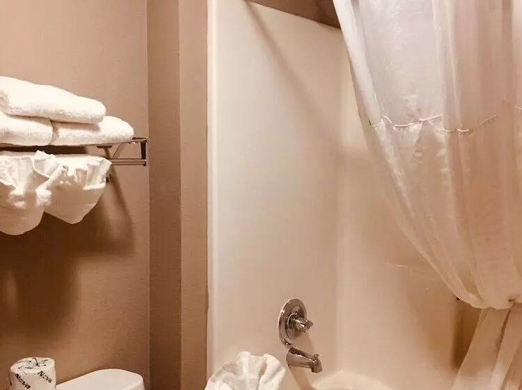 キングサイズベッドのスイートルーム, Hawthorn Extended Stay By Wyndham Conyers