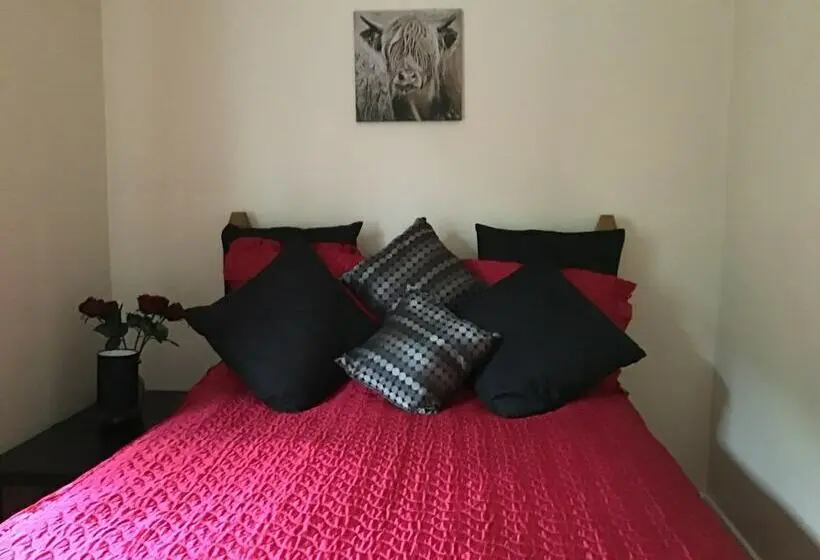 １ベッドルームアパートメント, River View Apartment