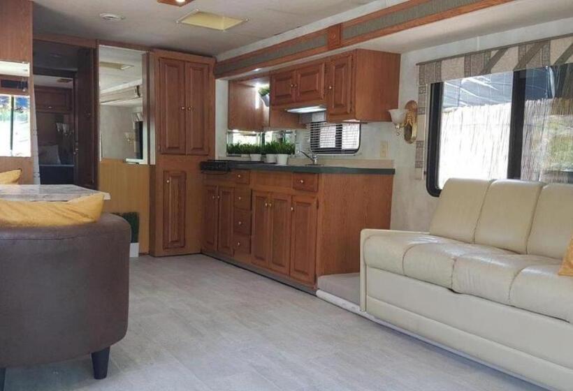 Номер Стандарт, Blue Ocean Camp - Tasartico