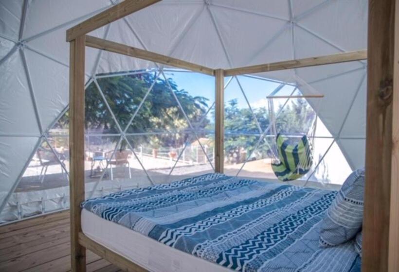 Номер Deluxe, Blue Ocean Camp - Tasartico