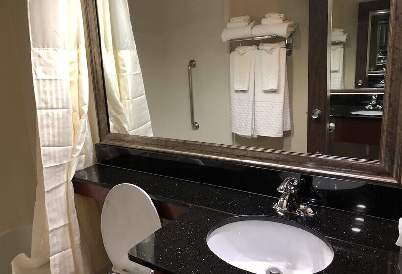 Номер Стандарт 2 Двуспальные Кровати, Best Western Plus Augusta Civic Center Inn