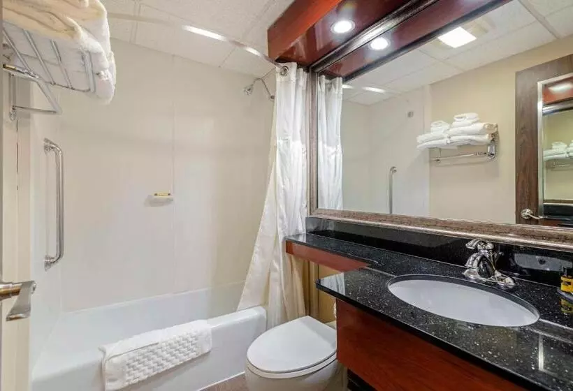 اتاق استاندارد با تخت بزرگ, Best Western Plus Augusta Civic Center Inn