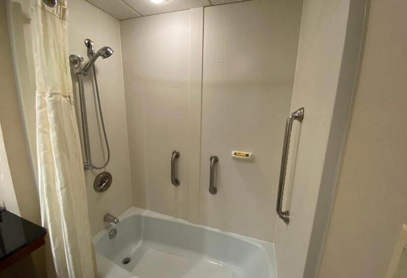Номер Стандарт Кровать Кинг Адаптированный для Инвалидов, Best Western Plus Augusta Civic Center Inn