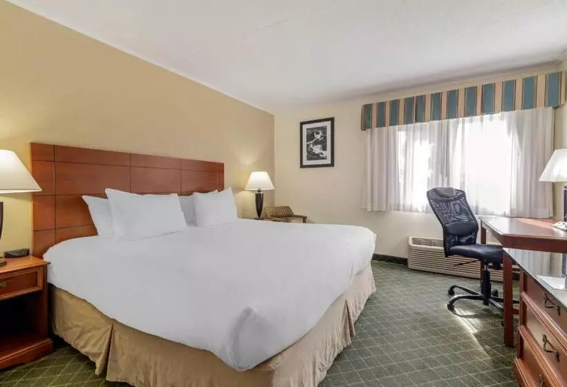 اتاق استاندارد با تخت بزرگ برای معلولان, Best Western Plus Augusta Civic Center Inn