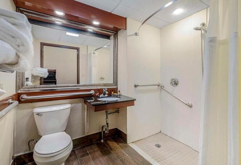Номер Стандарт Кровать Кинг Адаптированный для Инвалидов, Best Western Plus Augusta Civic Center Inn