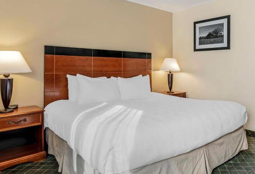 Номер Стандарт Кровать Кинг Адаптированный для Инвалидов, Best Western Plus Augusta Civic Center Inn