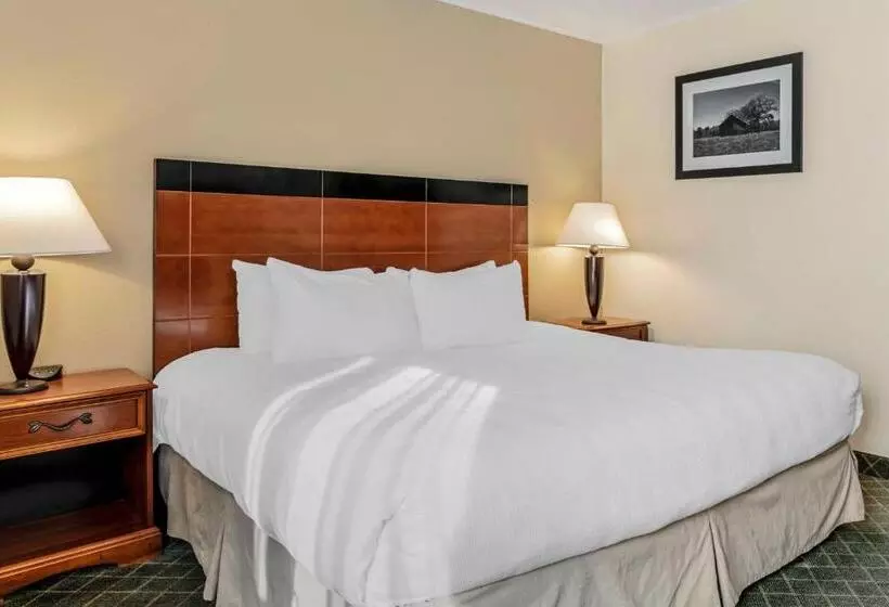 اتاق استاندارد با تخت بزرگ برای معلولان, Best Western Plus Augusta Civic Center Inn
