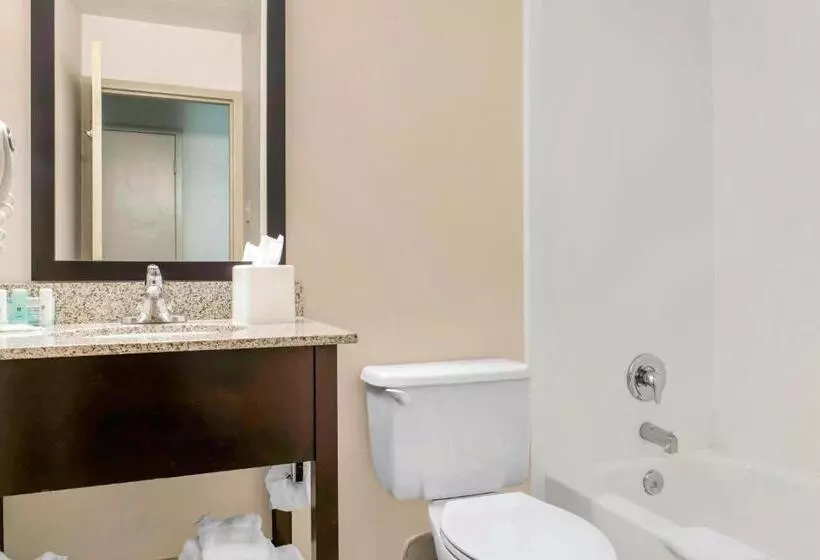 キングサイズベッドのスタンダードルーム, Quality Inn Dayton Airport