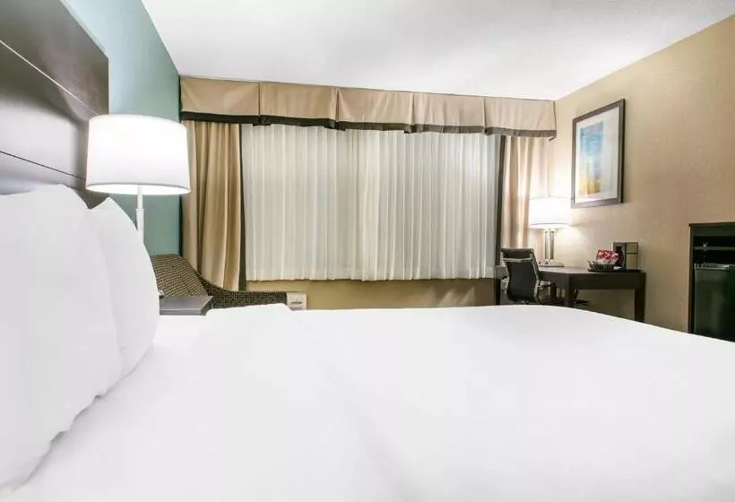 キングサイズベッドのスタンダードルーム, Quality Inn Dayton Airport