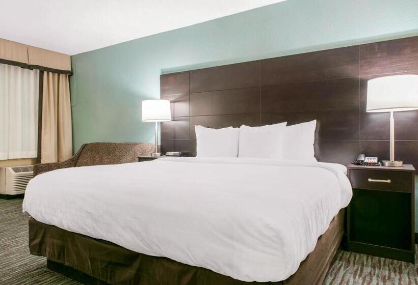 חדר סטנדרט עם מיטת קינג, Quality Inn Dayton Airport