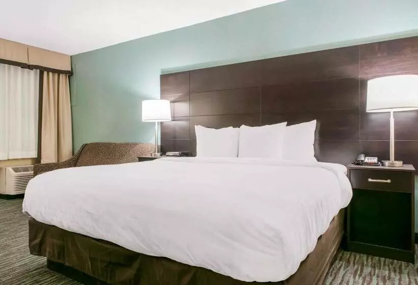キングサイズベッドのスタンダードルーム, Quality Inn Dayton Airport