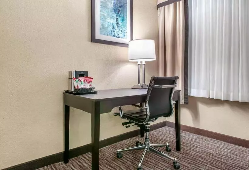キングサイズベッドのスタンダードルーム, Quality Inn Dayton Airport