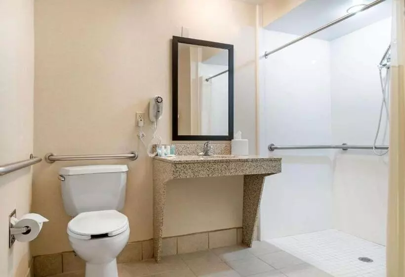 身障者適用キングサイズベッドルーム, Quality Inn Dayton Airport