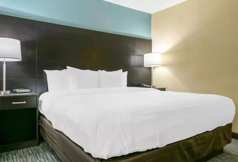 身障者適用キングサイズベッドルーム, Quality Inn Dayton Airport
