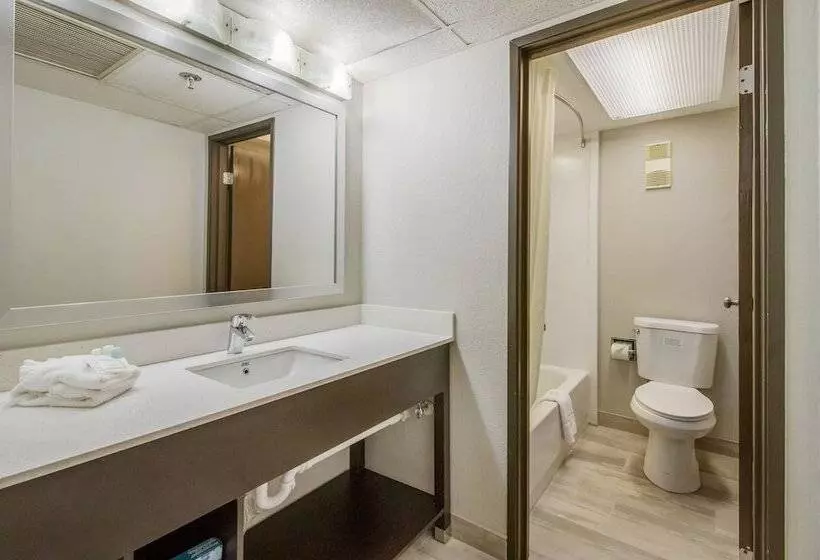 スイート, Clarion Hotel Jackson Northwest