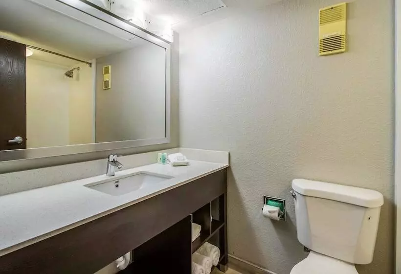スイート, Clarion Hotel Jackson Northwest