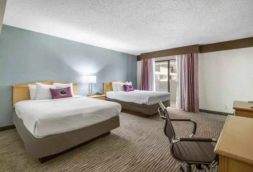 スイート, Clarion Hotel Jackson Northwest
