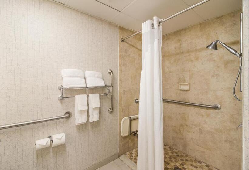 חדר סטנדרט, מיטת קינג, מותאם לאדם עם מוגבלויות, Clarion Pointe New Bern