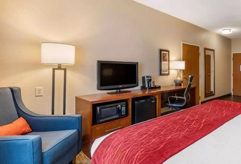 身障者適用キングサイズベッドルーム, Comfort Inn La Porte