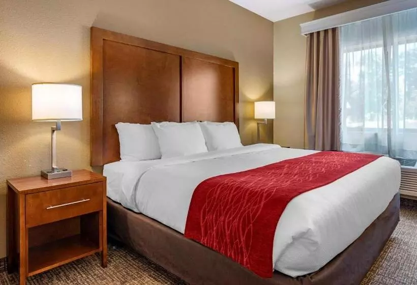 キングサイズベッドのスイートルーム, Comfort Inn La Porte