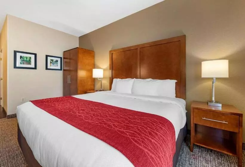 身障者適用スタンダードルーム, Comfort Inn La Porte
