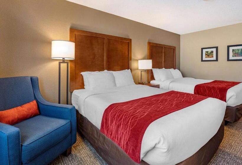 غرفة قياسية لذوى الاحتياجات الخاصة, Comfort Inn La Porte