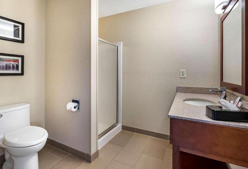 Номер Стандарт, Comfort Inn La Porte