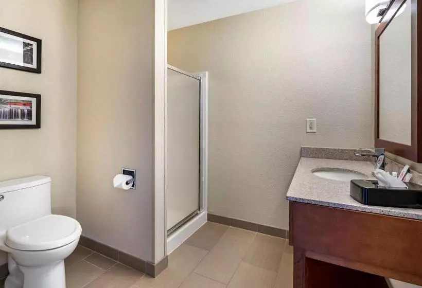 スタンダードルーム, Comfort Inn La Porte