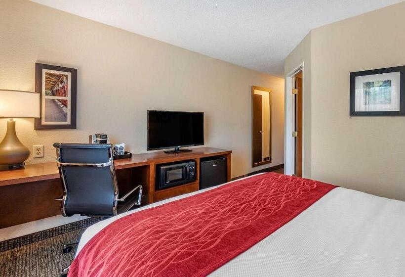غرفة قياسية, Comfort Inn La Porte