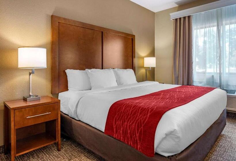 جناح لذوى الاحتياجات الخاصة, Comfort Inn La Porte
