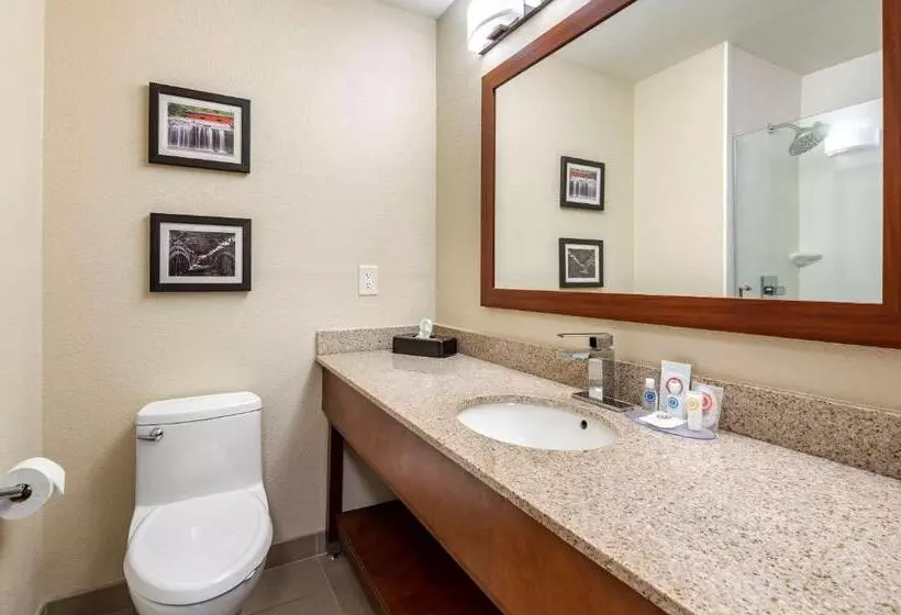 キングサイズベッドのスタンダードルーム, Comfort Inn La Porte