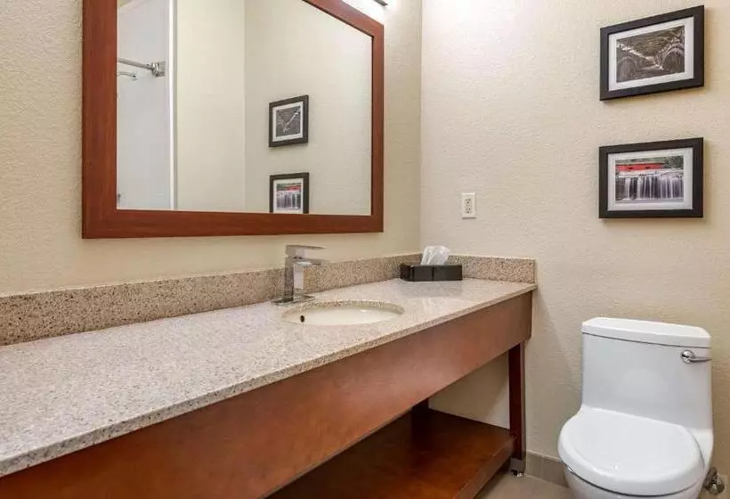 キングサイズベッドのスタンダードルーム, Comfort Inn La Porte