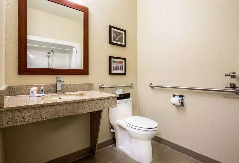 身障者適用スイートルーム, Comfort Inn La Porte